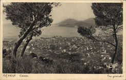 CPA Cannes Vue Generale