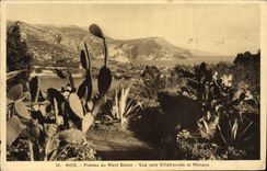 Placa de la POSTAL de la VENDIMIA Niza del montaje del boro visto hacia Villefranche y el cacto de Mónaco