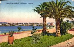 VINTAGE POSTCARD Cannes Seen from of the New Gardens of the Small cross