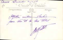 CPA Cannes La Vieille Ville Palmier 