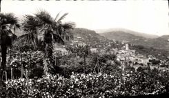 POSTAL MODERNA cuadro total graso