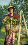 VINTAGE POSTCARD the Dimension Of Azure Woman Folklore Gathering of oranges