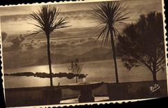 VINTAGE POSTCARD Cannes Sunset with the Park Albert 1st