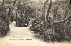 CPA Environs d'Hyeres Sous Bois a Costebelle