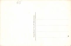 VINTAGE POSTCARD Heavy Piseines and Gave