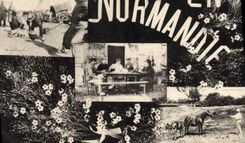 VINTAGE POSTCARD Normandy pig Pig Horse Folklore