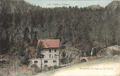 VINTAGE POSTCARD Together of the jump of the Poisson trout