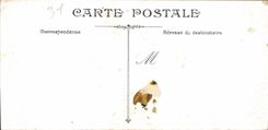 VINTAGE POSTCARD Toulouse Public garden of Capitole