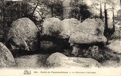VINTAGE POSTCARD Drill of Fontainebleau Mausoleums of Apremont