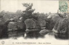 VINTAGE POSTCARD Drill of Fontainebleau Pond to the Hinds