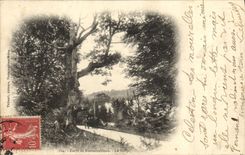 VINTAGE POSTCARD Drill of Fontainebleau Sully Coach Horse