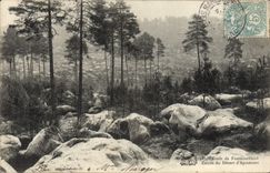 VINTAGE POSTCARD Foret of Fontainebleau Entree of Serves D' Apremont