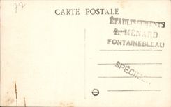 CPA Palais de Fontainebleau La Grille d'Honneur et la Cour des Adieux