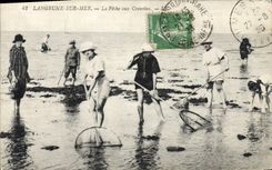 CPA Langrune sur Mer La Peche aux Crevettes