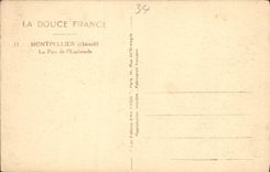 VINTAGE POSTCARD Montpellier the Park of the Esplanade