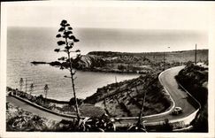 CPM La Cote Vermeille Collioure Route de la corniche
