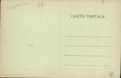 VINTAGE POSTCARD Perpignan Panoramic View on the Palm house and Canigou