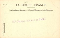 CPA Landes Arbres Plage 