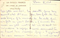 VINTAGE POSTCARD the pond of Aureilhan