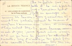 VINTAGE POSTCARD the Moors De Gascogne On the powdery Roads Shepherd Sheep