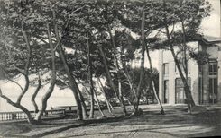VINTAGE POSTCARD San Salvadour Terrace of the pines