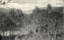 CPA San Salvadour Vue du Mont des Oiseaux