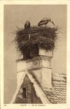 CPA Alsace Nid De Cigognes