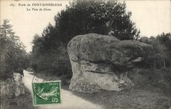 VINTAGE POSTCARD Drill of Fontainebleau the Head of Dog