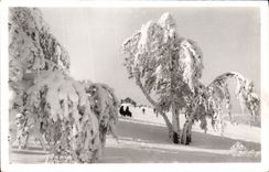Deportes de los paisajes y de invierno de la POSTAL de la VENDIMIA