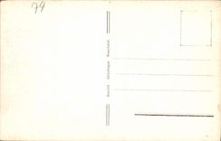 Agujas de Chamonix de la POSTAL de la VENDIMIA del plan y del sur