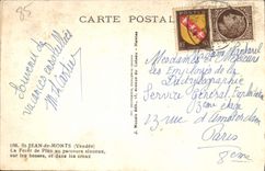 CPA Saint Jean de Monts La Foret de Pins au Parcours sinueux sur les bosses et dans les creux