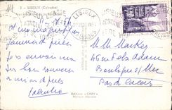 POSTAL MODERNA Lisieux visto de la basílica
