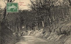 VINTAGE POSTCARD Robinson with the Wolves Wolves Coach Horse