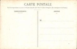 VINTAGE POSTCARD Lourdes Rules of the Couronnee Virgin and sight of the Castle