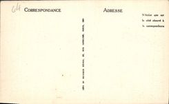 VINTAGE POSTCARD Caves of Betharram Columns Upper part in Formation