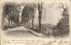 VINTAGE POSTCARD Mortain Seen from of the Road of the Seminar