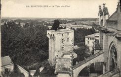 VINTAGE POSTCARD Montpellier the Tower of the Pines