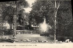 VINTAGE POSTCARD Montpellier the Public garden of the Station