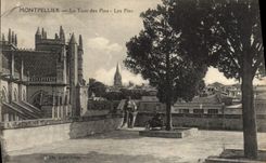 VINTAGE POSTCARD Montpellier the Tower of the Pines Pines