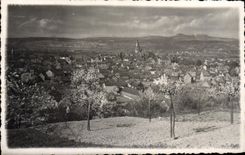 CARTE PHOTO Sinzig