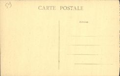 VINTAGE POSTCARD Layered branches the Tower of Cesar or Turn of the King