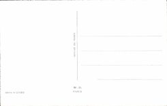 CPA Fantaisie Fleurs Fer a cheval Heureux Anniversaire 