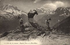 CPA Sur les Sommets Aiguille Verte et le Mont Blanc Chamois