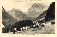 Cucuruchos de la POSTAL de la VENDIMIA de las vacas del viento del norte