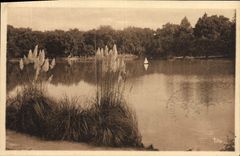 CPA Bordeaux Le Lac du Parc Bordelais 