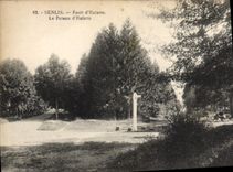 VINTAGE POSTCARD Senlis Drill of Halatte the Post of Halatte