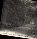VINTAGE POSTCARD Surroundings of Senlis Drill of Halatte Route des large oaks