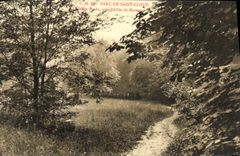 CPA Saint Cloud Parc Sentier perdu pres l'Allee de Marnes