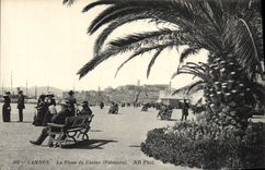 CPA Cannes La Place du Casino Palmiers