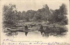CPA Foret de Fontainebleau La Mare aux Fees